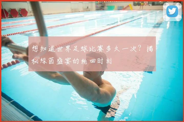 想知道世界足球比赛多久一次？揭秘绿茵盛宴的轮回时刻