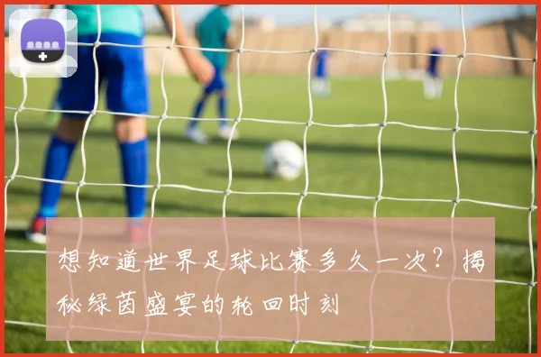 想知道世界足球比赛多久一次？揭秘绿茵盛宴的轮回时刻