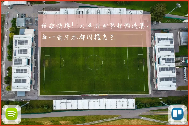 致敬拼搏！大洋洲世界杯预选赛，每一滴汗水都闪耀光芒