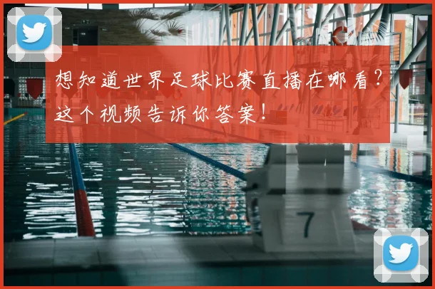 想知道世界足球比赛直播在哪看？这个视频告诉你答案！